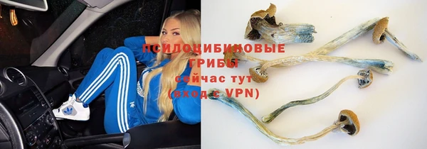 таблы Алексеевка