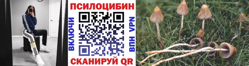 Псилоцибиновые грибы GOLDEN TEACHER Иваново